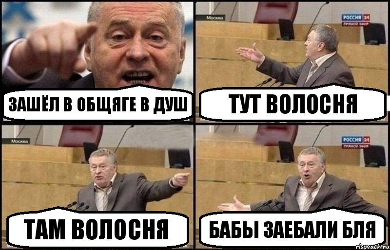 Волосня: истории из жизни, советы, новости, юмор и картинки — Горячее | Пикабу