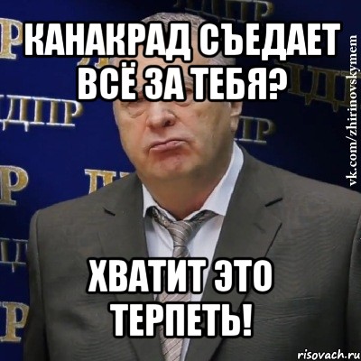 канакрад съедает всё за тебя? хватит это терпеть!, Мем Хватит это терпеть (Жириновский)