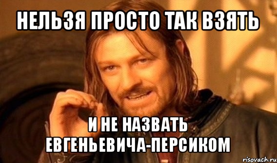 нельзя просто так взять и не назвать евгеньевича-персиком, Мем Нельзя просто так взять и (Боромир мем)