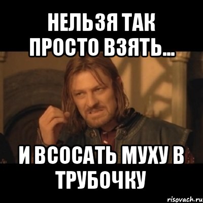 нельзя так просто взять... и всосать муху в трубочку, Мем Нельзя просто взять