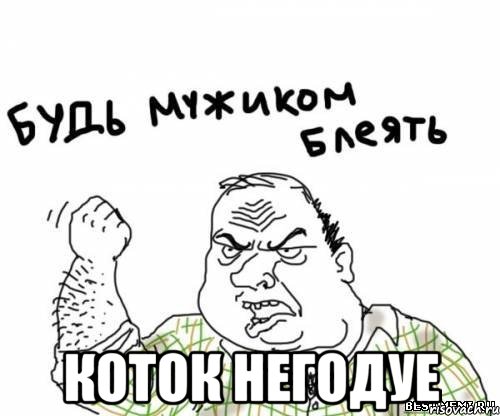  коток негодуе, Мем блять