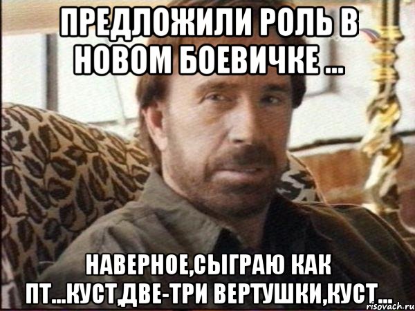 предложили роль в новом боевичке ... наверное,сыграю как пт...куст,две-три вертушки,куст..., Мем чак норрис