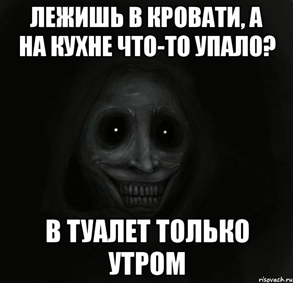 лежишь в кровати, а на кухне что-то упало? в туалет только утром, Мем Ночной гость