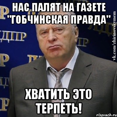 нас палят на газете "гобчинская правда" хватить это терпеть!, Мем Хватит это терпеть (Жириновский)