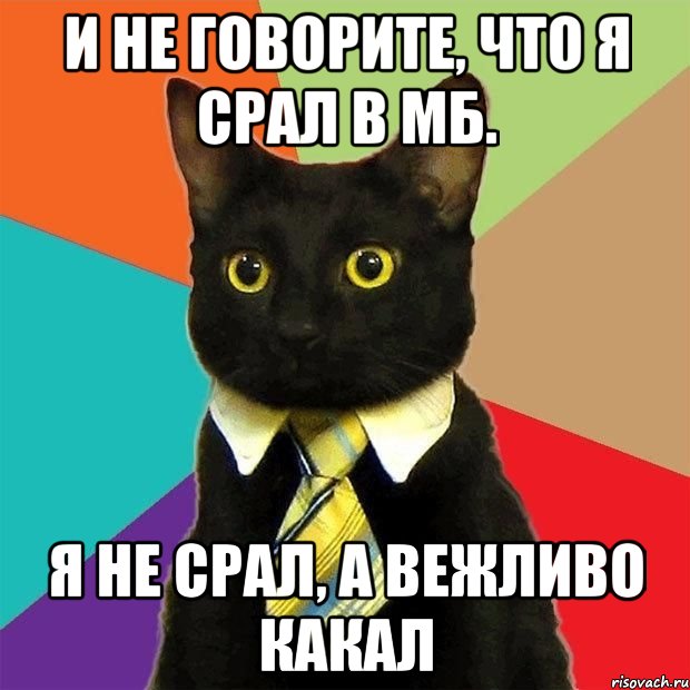 и не говорите, что я срал в мб. я не срал, а вежливо какал, Мем  Кошечка