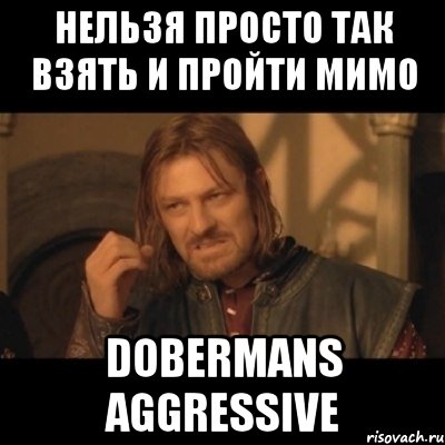 нельзя просто так взять и пройти мимо dobermans aggressive, Мем Нельзя просто взять