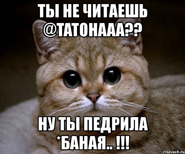 ты не читаешь @tatohaaa?? ну ты педрила *баная.. !!!, Мем Пидрила Ебаная