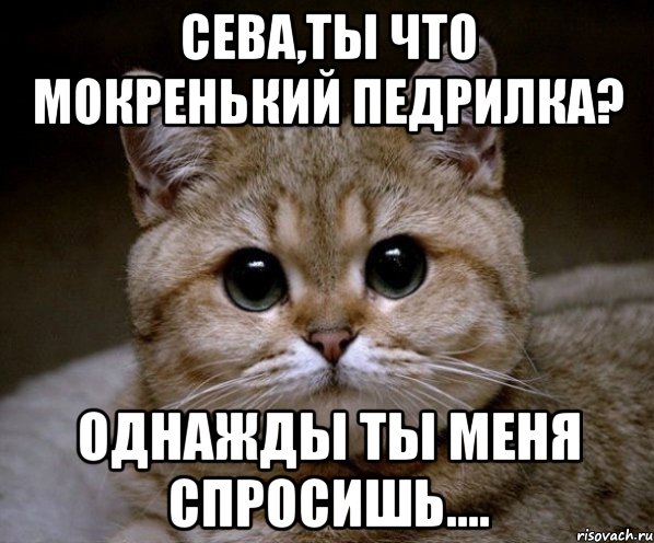 сева,ты что мокренький педрилка? однажды ты меня спросишь...., Мем Пидрила Ебаная