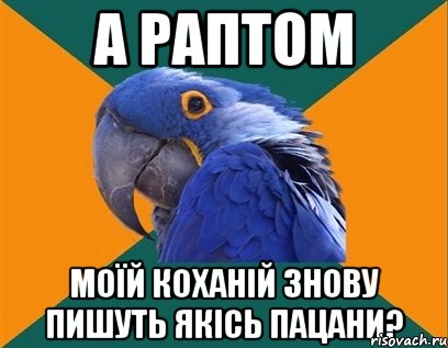 а раптом моїй коханій знову пишуть якісь пацани?, Мем Попугай параноик