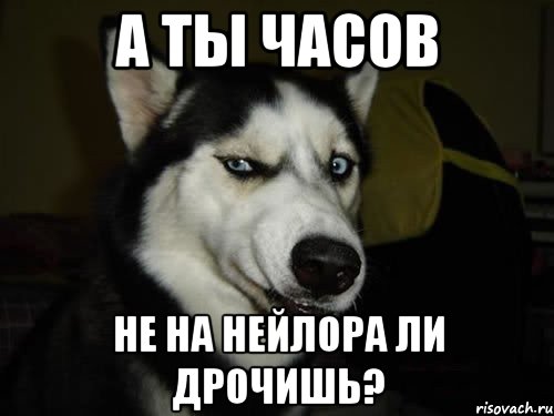 А ТЫ ЧАСОВ НЕ НА НЕЙЛОРА ЛИ ДРОЧИШЬ?