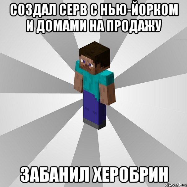 создал серв с нью-йорком и домами на продажу забанил херобрин, Мем Типичный игрок Minecraft