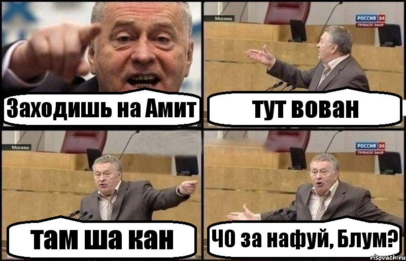 Заходишь на Амит тут вован там ша кан Ч0 за нафуй, Блум?, Комикс Жириновский