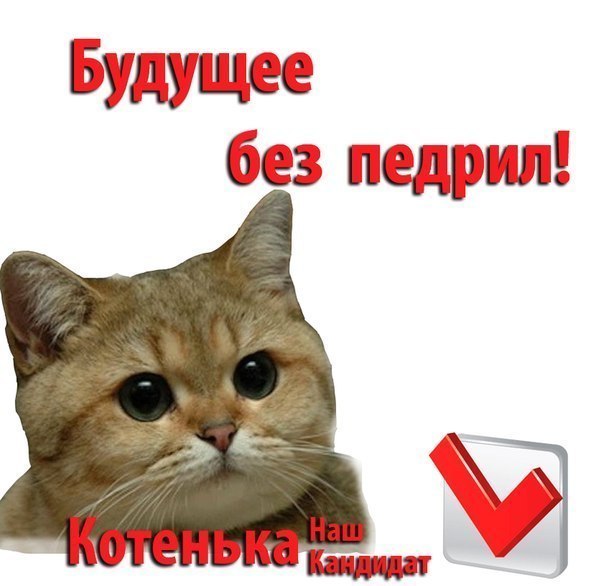 http://risovach.ru/upload/2012/11/pidrila-ebanaya-3815622_orig_.jpeg