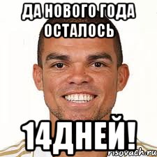 да нового года осталось 14дней!