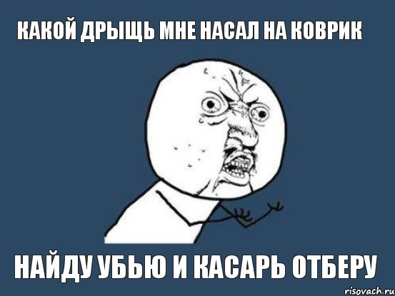 какой дрыщь мне насал на коврик найду убью и касарь отберу, Мем Ну почему