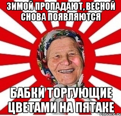 зимой пропадают, весной снова появляются бабки торгующие цветами на пятаке, Мем  бабуля