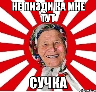 не пизди ка мне тут сучка