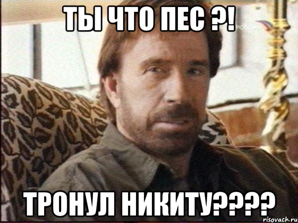 ты что пес ?! тронул никиту???