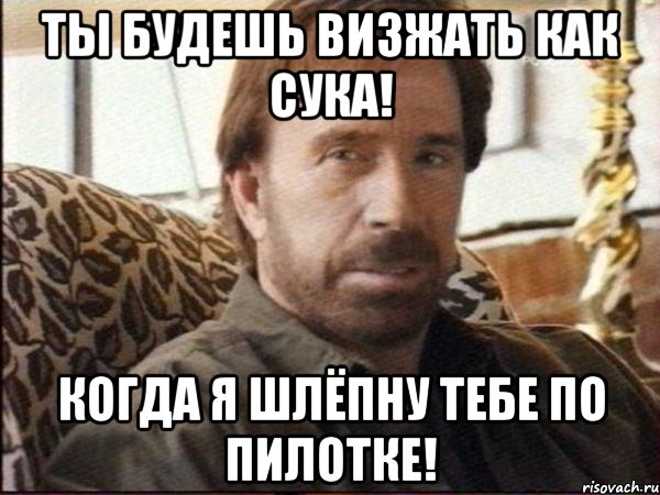 ты будешь визжать как сука! когда я шлёпну тебе по пилотке!, Мем чак норрис