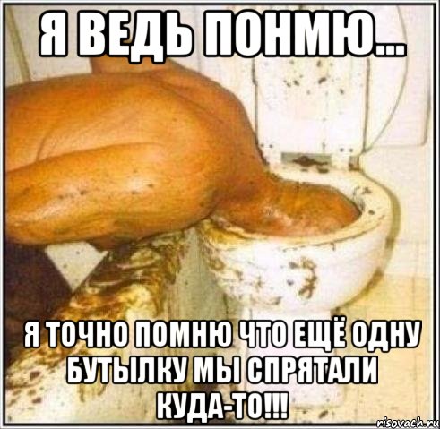 я ведь понмю... я точно помню что ещё одну бутылку мы спрятали куда-то!!!, Мем Дайвер