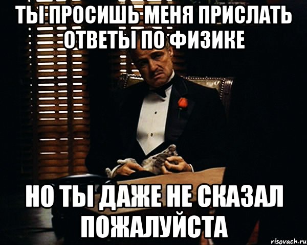 ты просишь меня прислать ответы по физике но ты даже не сказал пожалуйста, Мем Дон Вито Корлеоне