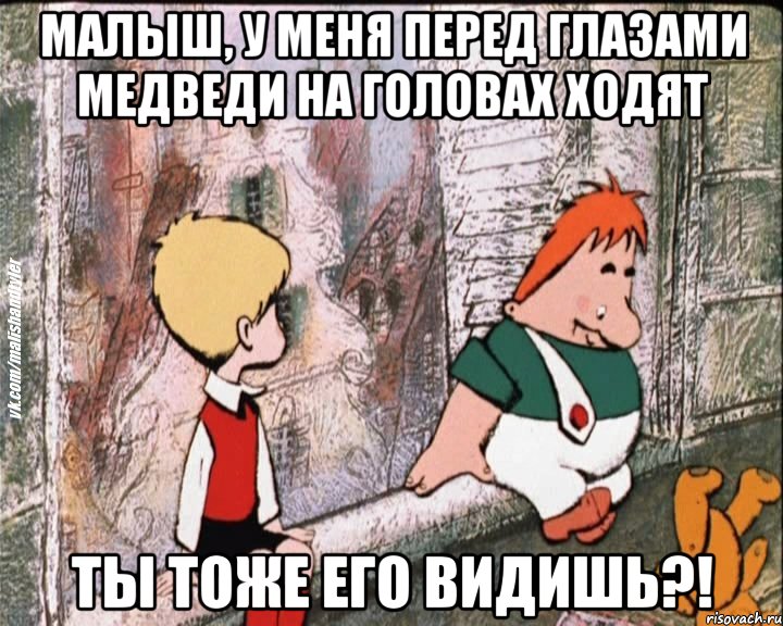 малыш, у меня перед глазами медведи на головах ходят ты тоже его видишь?!, Мем   дрзья