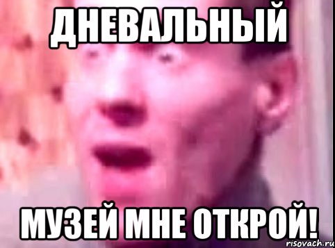 дневальный музей мне открой!, Мем Дверь мне запили