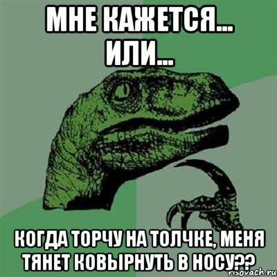 мне кажется... или... когда торчу на толчке, меня тянет ковырнуть в носу??, Мем Филосораптор