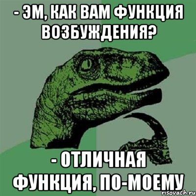 - эм, как вам функция возбуждения? - отличная функция, по-моему, Мем Филосораптор