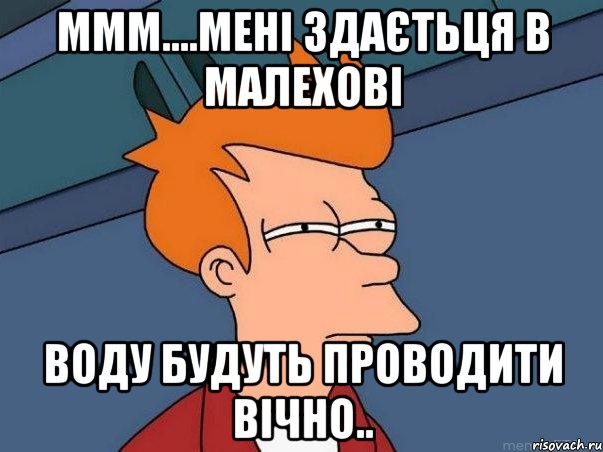 ммм....мені здаєтьця в малехові воду будуть проводити вічно.., Мем  Фрай (мне кажется или)