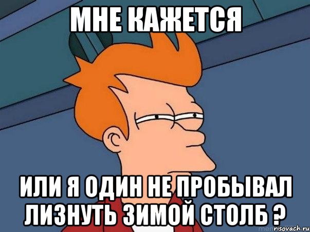 мне кажется или я один не пробывал лизнуть зимой столб ?, Мем  Фрай (мне кажется или)