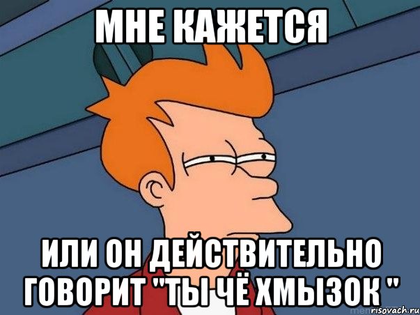 мне кажется или он действительно говорит "ты чё хмызок ", Мем  Фрай (мне кажется или)