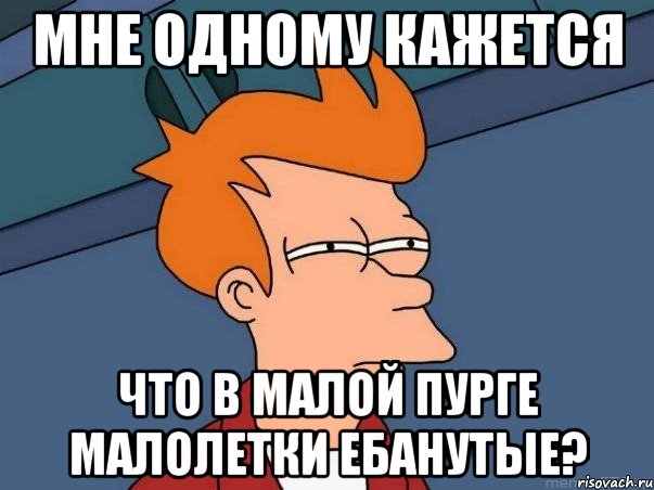 мне одному кажется что в малой пурге малолетки ебанутые?, Мем  Фрай (мне кажется или)