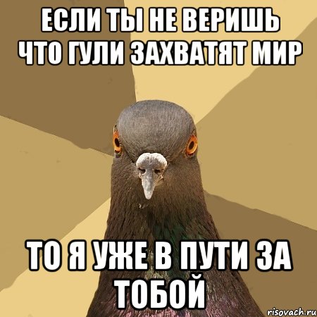 если ты не веришь что гули захватят мир то я уже в пути за тобой, Мем голубь