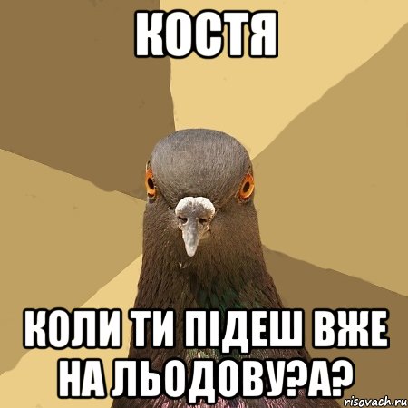 костя коли ти підеш вже на льодову?а?