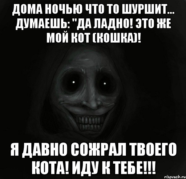 дома ночью что то шуршит... думаешь: "да ладно! это же мой кот (кошка)! я давно сожрал твоего кота! иду к тебе!!!, Мем Ночной гость