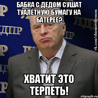 бабка с дедом сушат туалетную бумагу на батерее? хватит это терпеть!, Мем Хватит это терпеть (Жириновский)