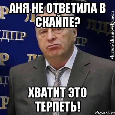 аня не ответила в скайпе? хватит это терпеть!, Мем Хватит это терпеть (Жириновский)