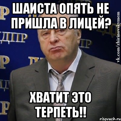 шаиста опять не пришла в лицей? хватит это терпеть!!, Мем Хватит это терпеть (Жириновский)