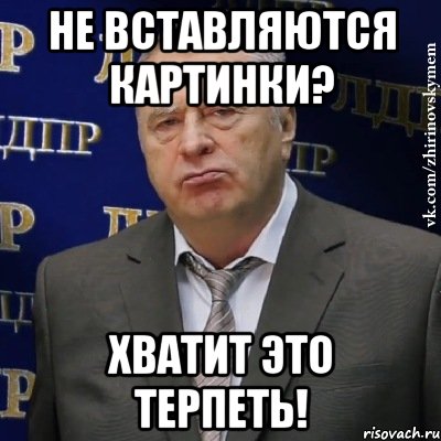 не вставляются картинки? хватит это терпеть!, Мем Хватит это терпеть (Жириновский)