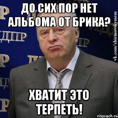 до сих пор нет альбома от брика? хватит это терпеть!, Мем Хватит это терпеть (Жириновский)