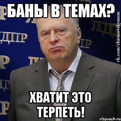 баны в темах? хватит это терпеть!, Мем Хватит это терпеть (Жириновский)