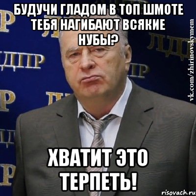будучи гладом в топ шмоте тебя нагибают всякие нубы? хватит это терпеть!, Мем Хватит это терпеть (Жириновский)