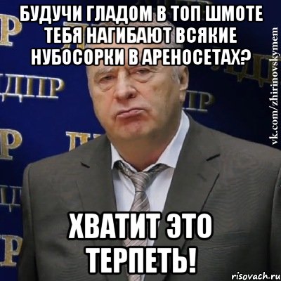 будучи гладом в топ шмоте тебя нагибают всякие нубосорки в ареносетах? хватит это терпеть!, Мем Хватит это терпеть (Жириновский)