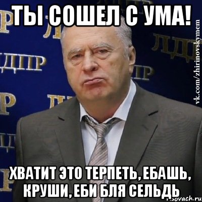 ты сошел с ума! хватит это терпеть, ебашь, круши, еби бля сельдь, Мем Хватит это терпеть (Жириновский)
