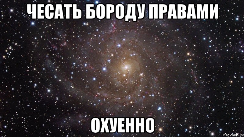 чесать бороду правами охуенно