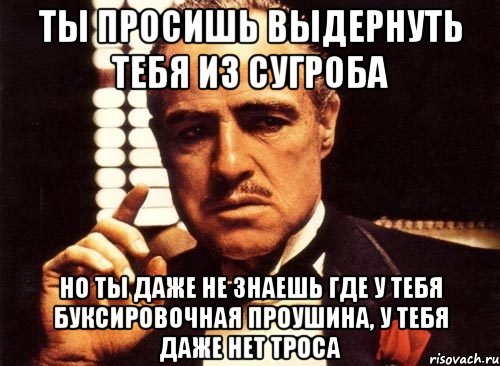 ты просишь выдернуть тебя из сугроба но ты даже не знаешь где у тебя буксировочная проушина, у тебя даже нет троса, Мем крестный отец