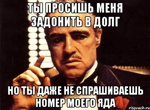 ты просишь меня задонить в долг но ты даже не спрашиваешь номер моего яда, Мем крестный отец