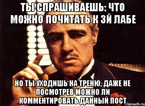 ты спрашиваешь: что можно почитать к 3й лабе но ты уходишь на треню, даже не посмотрев можно ли комментировать данный пост, Мем крестный отец