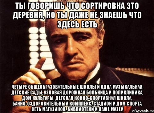 ты говоришь что сортировка это деревня, но ты даже не знаешь что здесь есть четыре общеобразовательные школы и одна музыкальная, детские сады, узловая дорожная больница и поликлиника, дом культуры, детская конно-спортивная школа, банно-оздоровительный комплекс, стадион и дом спорта, сеть магазинов, библиотеки и даже музей, Мем крестный отец